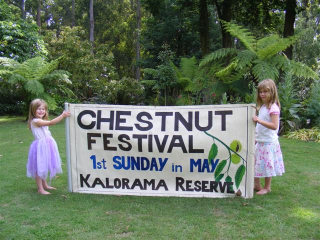 Kalorama Chestnut Festival